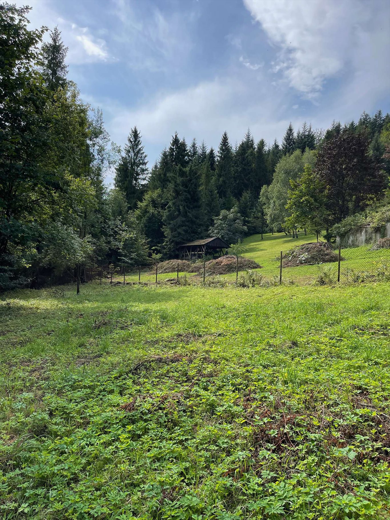 Działka budowlana na sprzedaż Wisła, Wisła  2 750m2 Foto 13