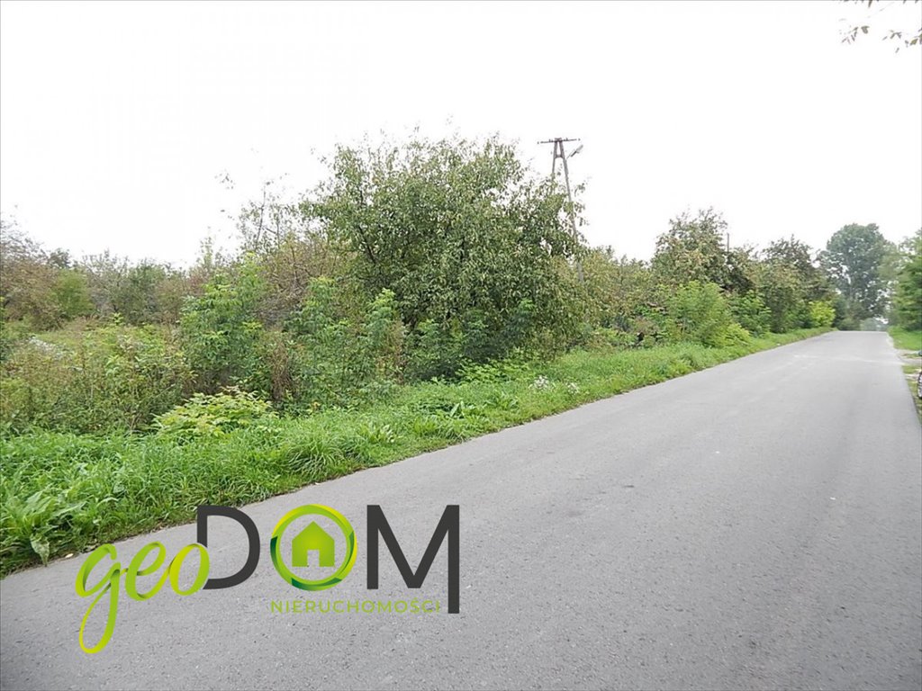 Działka 11 293 m² z dostępem do mediów i możliwością podziału Horodyszcze-Kolonia  11 293m2 Foto 1