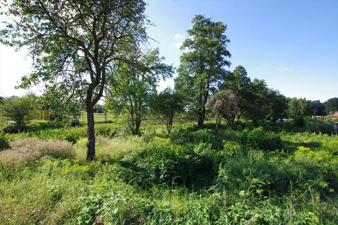 Działka budowlana na sprzedaż Gwizdanów  1 000m2 Foto 2