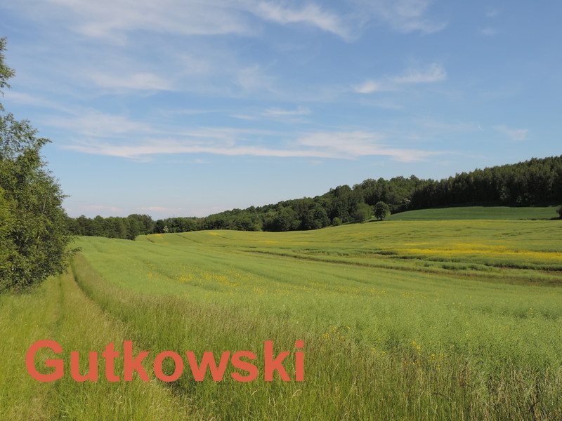 Działka rolna na sprzedaż Lekarty, Gmina Nowe Miasto Lubawskie  3 408m2 Foto 6