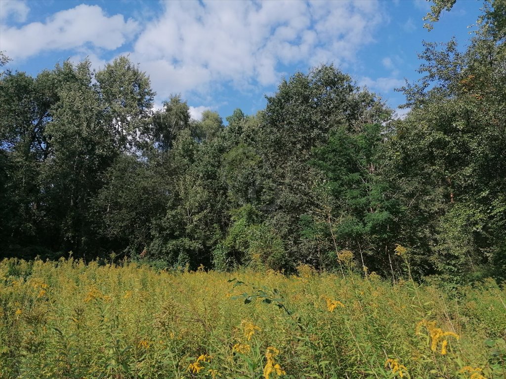 Działka budowlana na sprzedaż Łubnice  1 268m2 Foto 2