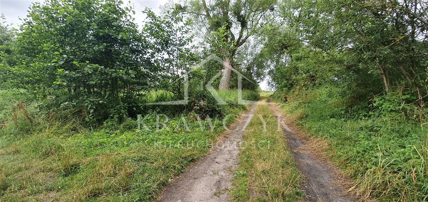 Działka inna na sprzedaż Tanowo  5 600m2 Foto 4