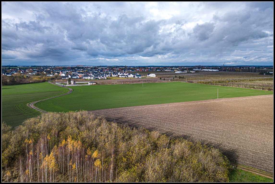 Działka budowlana na sprzedaż Siekierki Wielkie, Śliwkowa  1 125m2 Foto 12