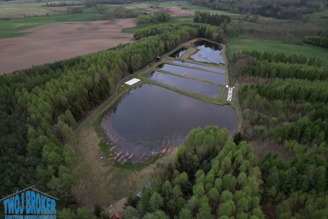 Posesja z lasem, stawami i domem do rozbudowy - polecam! Bytów, Bytów  59 500m2 Foto 1
