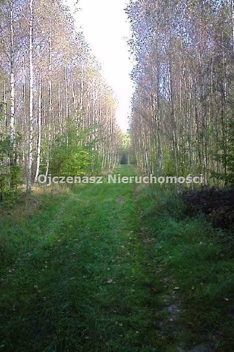 Lokal użytkowy na sprzedaż Zacisze  420m2 Foto 17