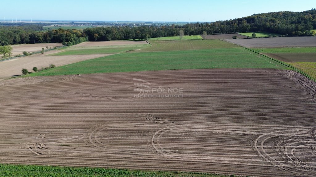 Działka rolna na sprzedaż Grodziec  96 000m2 Foto 2