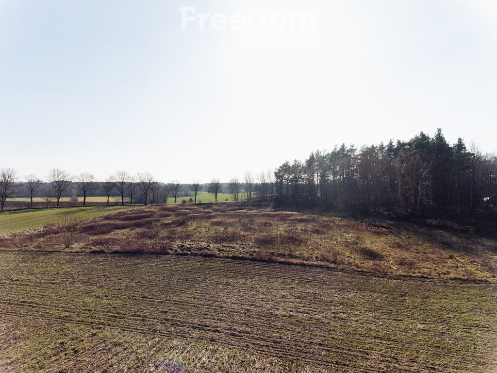 Działka budowlana na sprzedaż Radomice  993m2 Foto 11