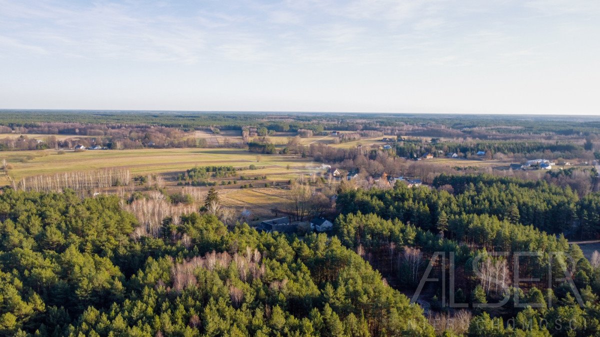 Działka budowlana na sprzedaż Prabuty  7 770m2 Foto 8