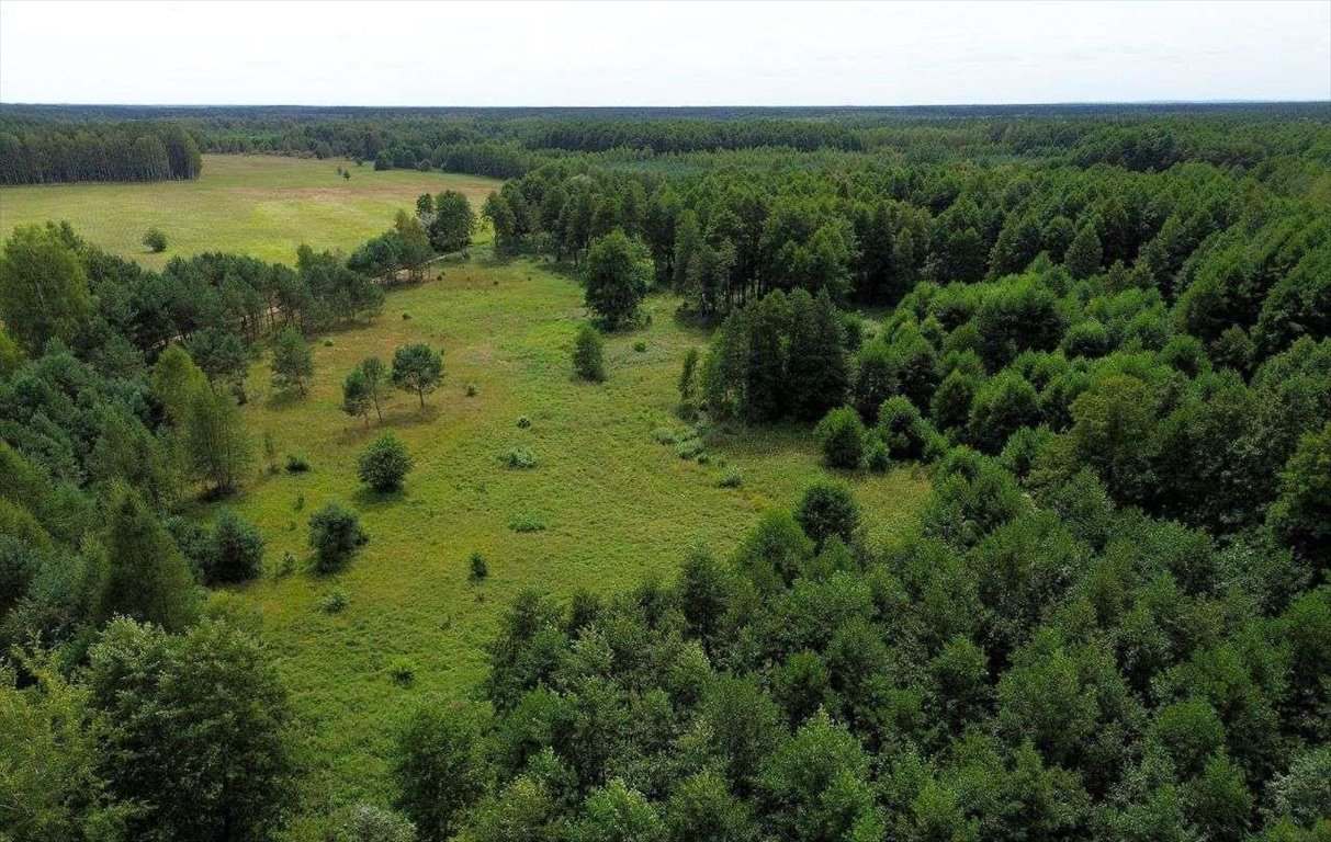 Działka rolna na sprzedaż Rekownica  3 002m2 Foto 5