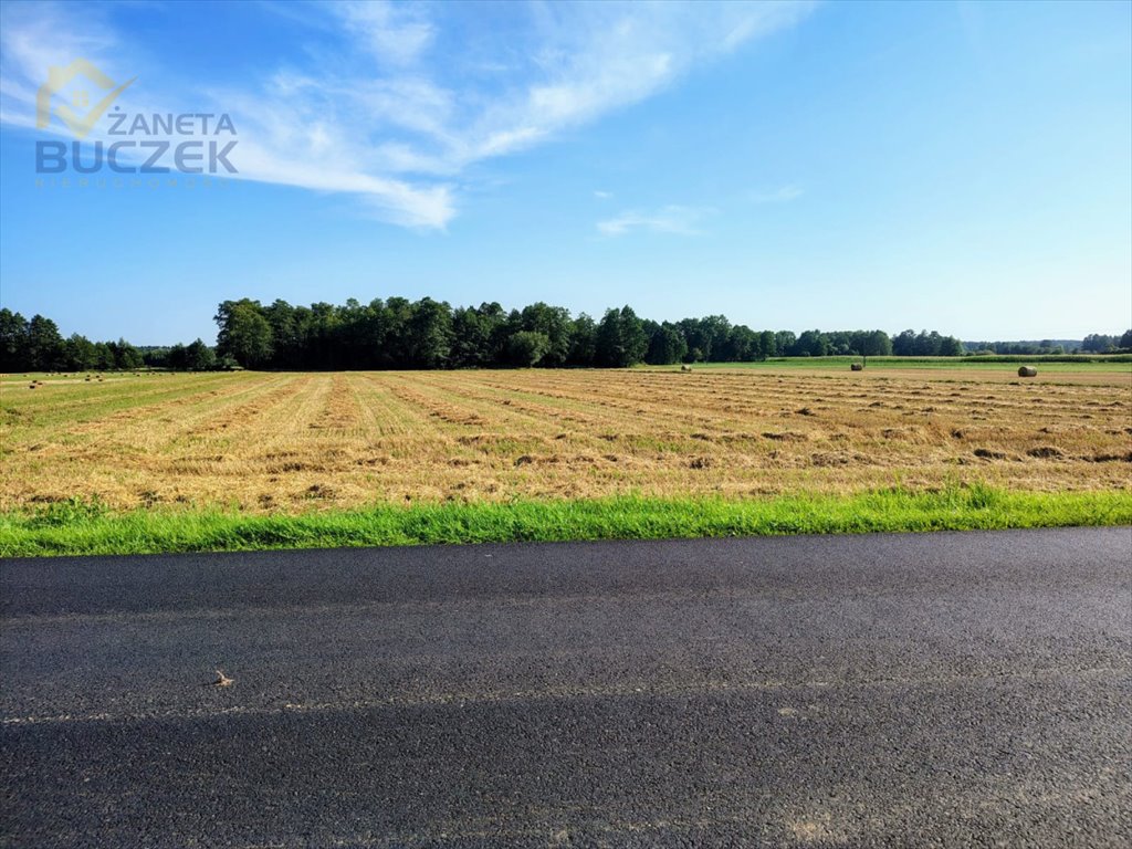 Do sprzedania ziemia rolna 9,87 ha z budynkiem w Januszew Januszew  98 670m2 Foto 1