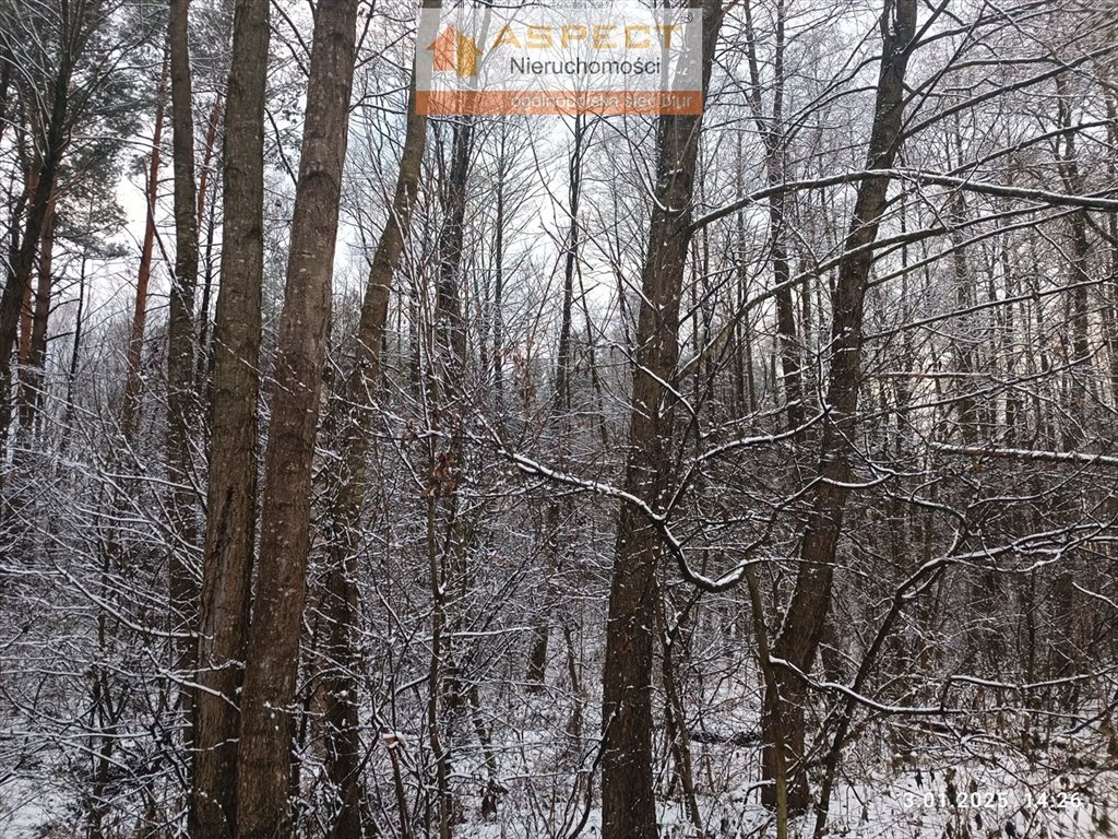 Działka leśna na sprzedaż Nowe Brusno, Nowe Brusno  10 000m2 Foto 2