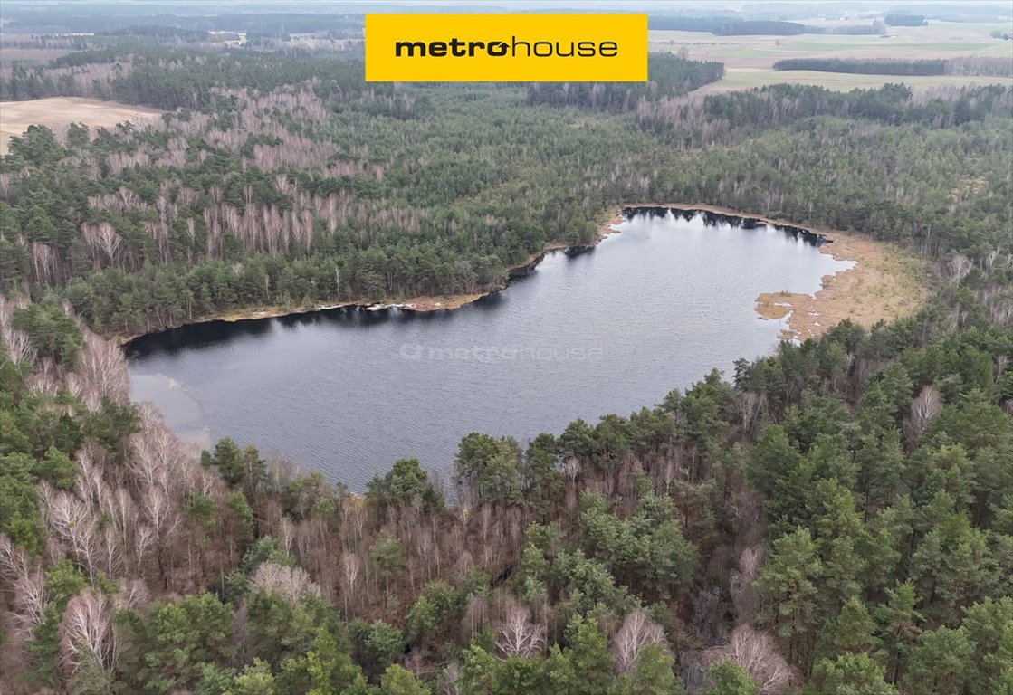 Działka z jeziorem 8,4 ha, las, cisza, inwestycja Wąpiersk  84 000m2 Foto 1