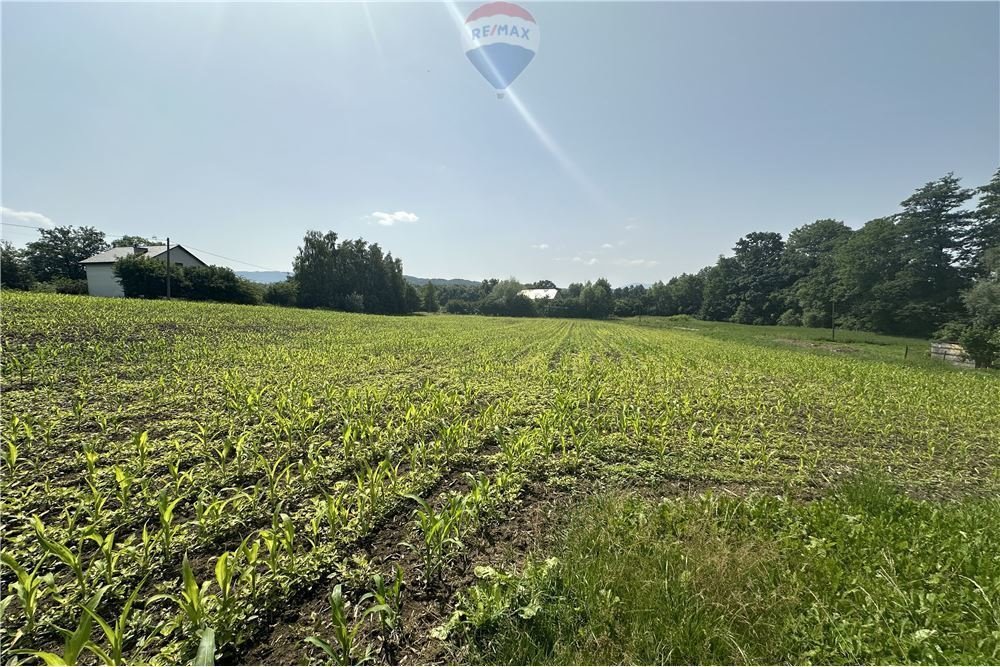 Działka rolna na sprzedaż Goleszów  10 184m2 Foto 20