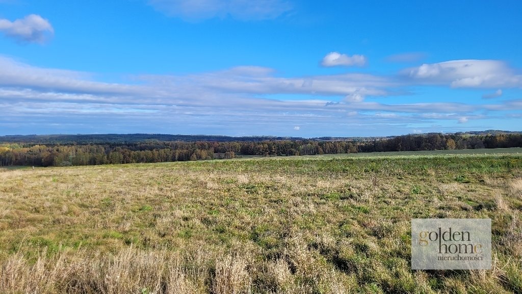 Działka budowlana na sprzedaż Gryfów Śląski, Krzewie Wielkie  1 277m2 Foto 10