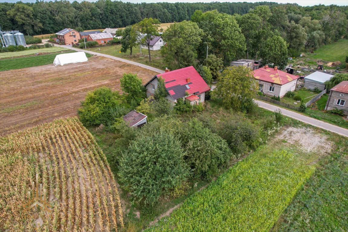 Działka przemysłowo-handlowa na sprzedaż Topólno, Muchowo  20 200m2 Foto 6