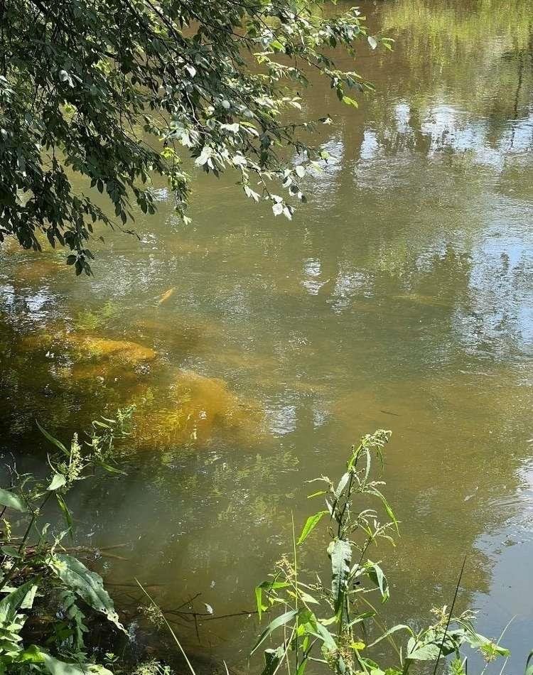 Działka rekreacyjna na sprzedaż Dworszowice Kościelne  780m2 Foto 13