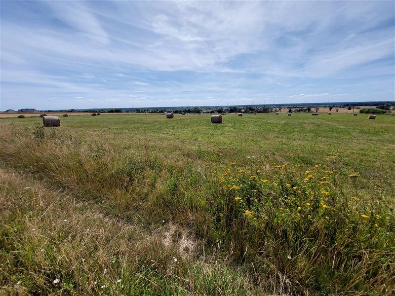 Działka inna na sprzedaż Kopnica, Kopnica  3 000m2 Foto 3