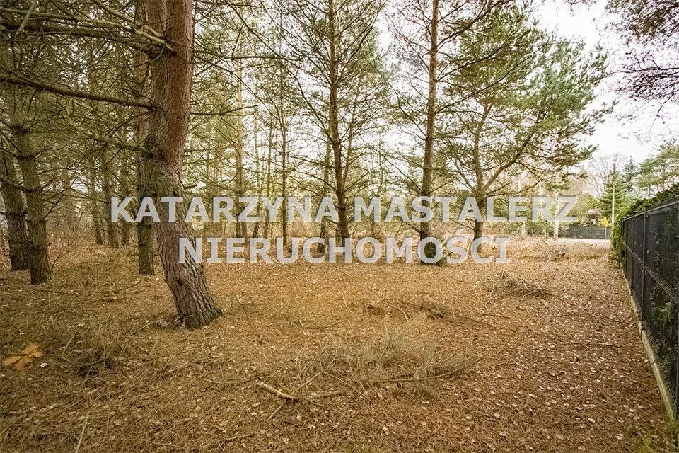 Działka budowlana na sprzedaż Strzeniówka  2 000m2 Foto 1