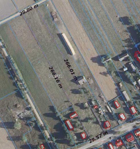 Działka siedliskowa na sprzedaż Nowa Wola  7 700m2 Foto 3