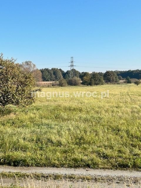 Działka inwestycyjna na sprzedaż Wrocław, Psie Pole, Kowale, okolice Lechitów  1 126m2 Foto 13