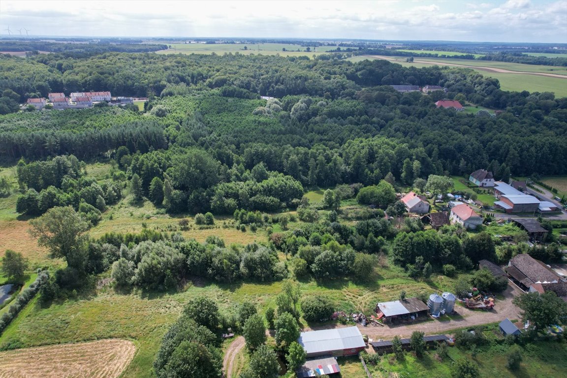 Działka inna na sprzedaż Wielka Wieś  4 000m2 Foto 10