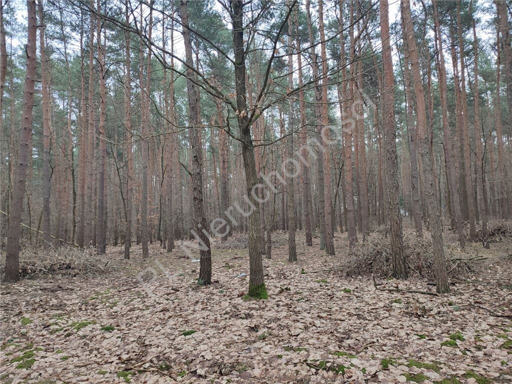 Działka budowlana na sprzedaż Siestrzeń  2 327m2 Foto 4