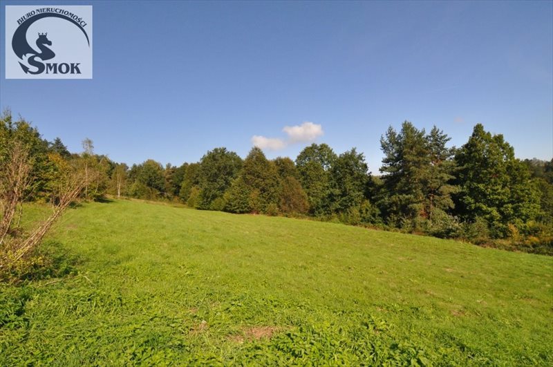 Działka rolna na sprzedaż Włosań 2 550m2 Foto 1 Działka rolna na sprzedaż Włosań 2 550m2 Foto 1