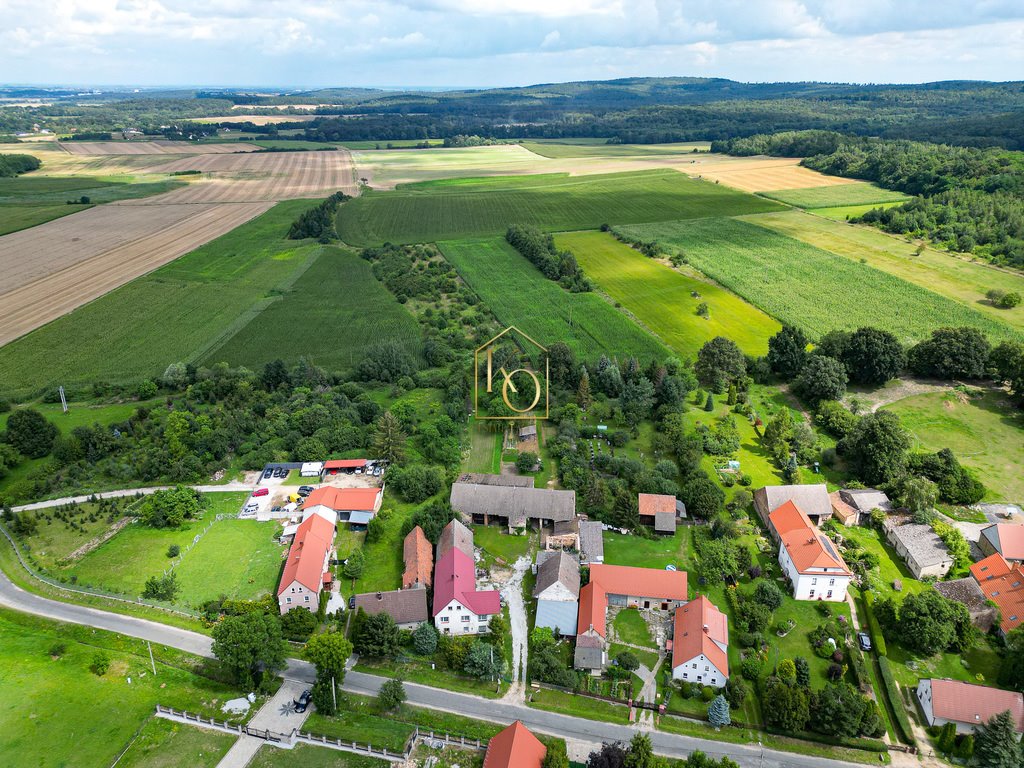 Działka budowlana na sprzedaż Nowolesie  13 520m2 Foto 9