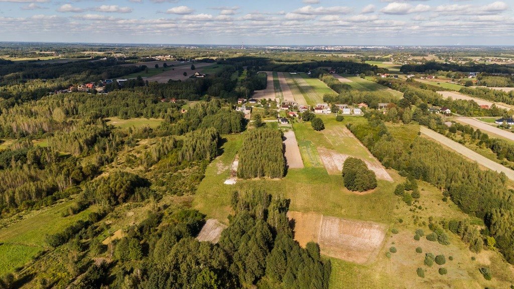 Działka inna na sprzedaż Romanów, Romanowska  18 900m2 Foto 19