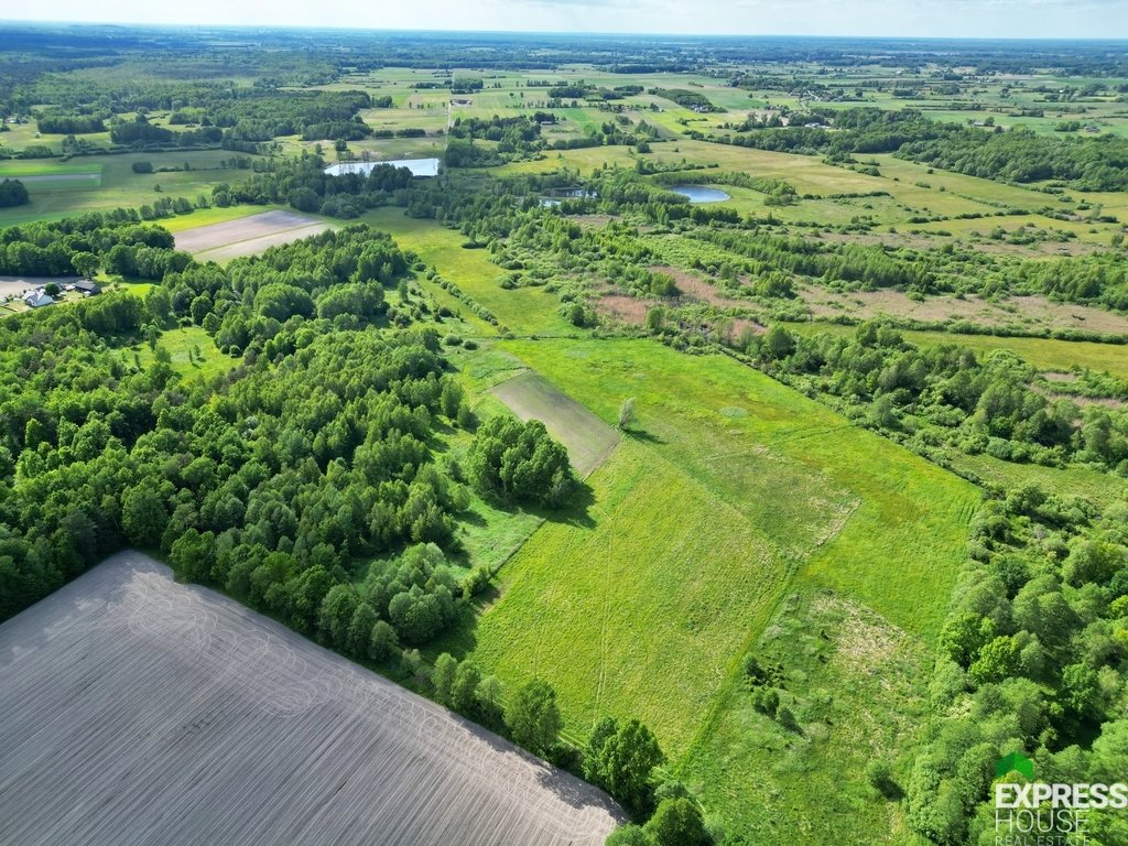 Działka leśna na sprzedaż Świerszczów  12 100m2 Foto 3