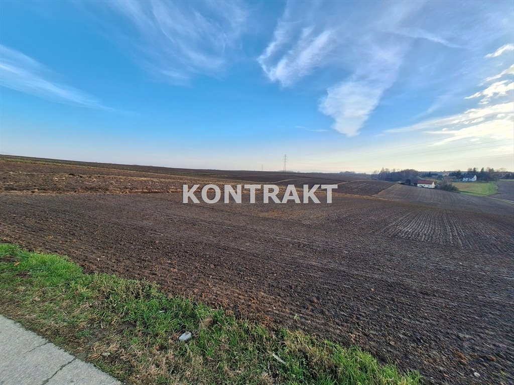 Działka budowlana na sprzedaż Polanka Wielka, Wiśniowa  1 700m2 Foto 3