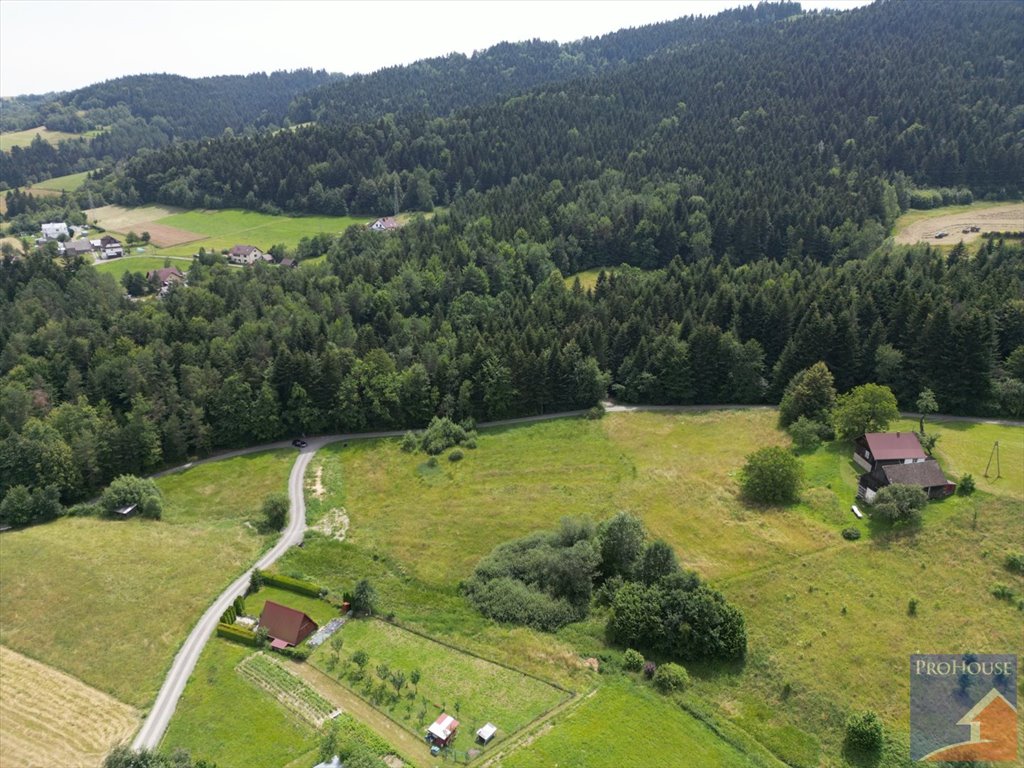 Działka budowlana na sprzedaż Piekiełko  5 617m2 Foto 4