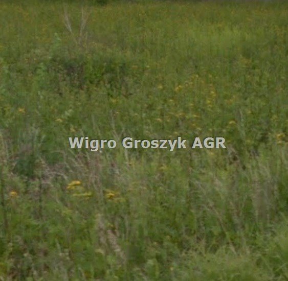 Działka 6500 m² z planem zagospodarowania i mediami - polecam! Sowia Wola  6 500m2 Foto 1