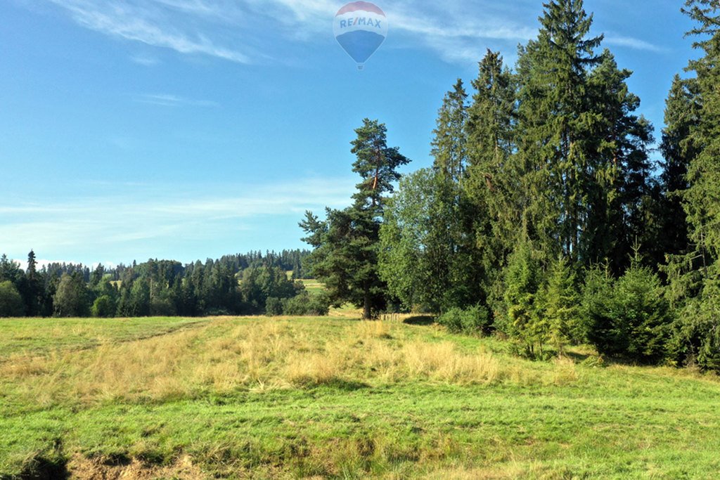 Działka rolna na sprzedaż Białka Tatrzańska  4 151m2 Foto 2