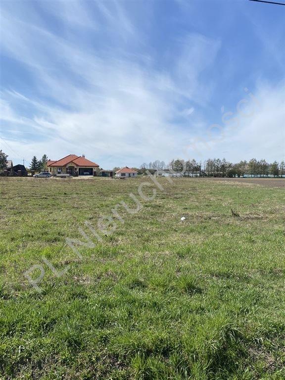 Działka rolna 15 000 m² z mediami, atrakcyjna oferta! Radonice  15 000m2 Foto 1