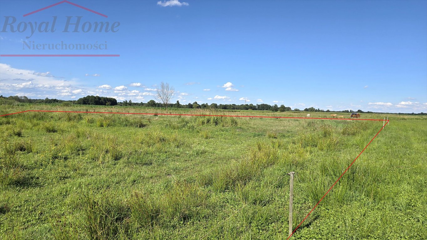 Działka rolna na sprzedaż Chrząstawa Mała, Graniczna  20 500m2 Foto 7