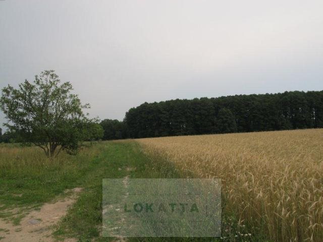 Działka rolna na sprzedaż Nowe Wrońska, Płońsk - Załuski 3 800m2 Foto 1 Działka rolna na sprzedaż Nowe Wrońska, Płońsk - Załuski 3 800m2 Foto 1
