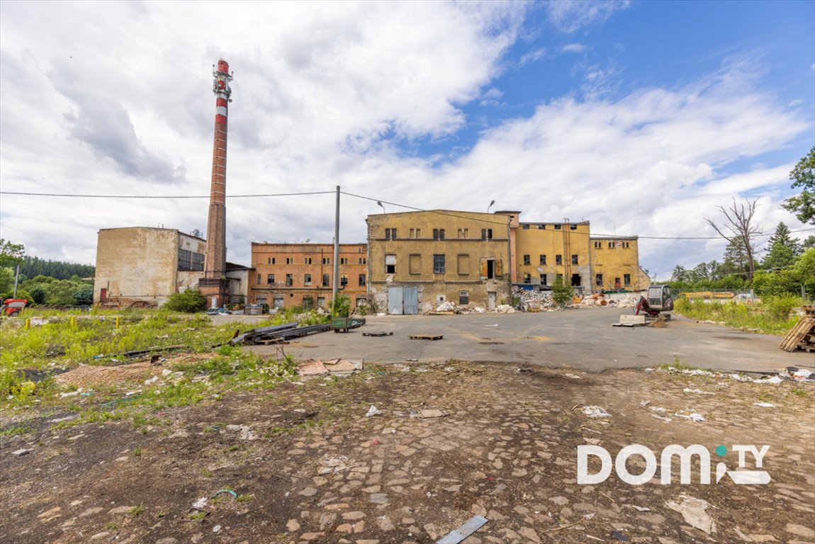 Lokal użytkowy na sprzedaż Dąbrowica  11 500m2 Foto 14