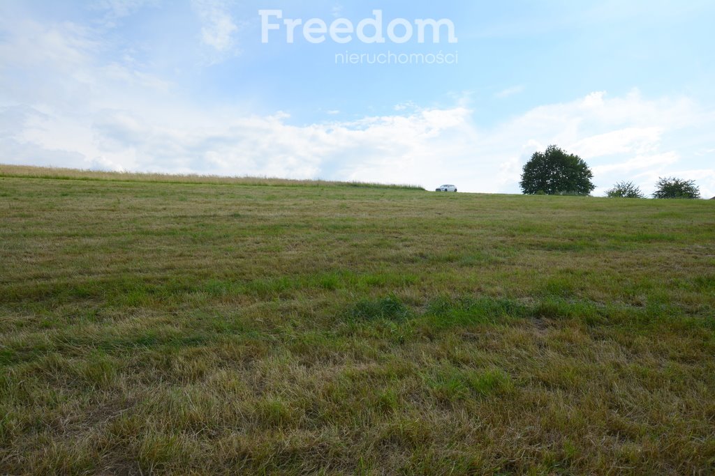 Działka budowlana na sprzedaż Frydrychowice  993m2 Foto 16