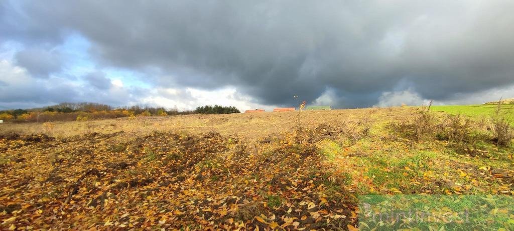 Działka budowlana na sprzedaż Goleniów  913m2 Foto 4