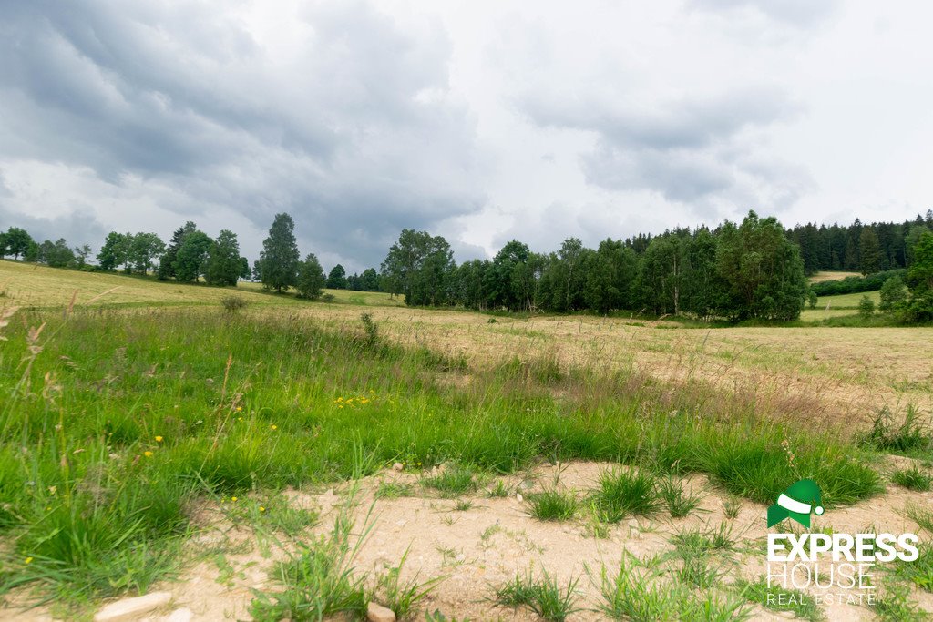 Działka budowlana na sprzedaż Stronie Śląskie, Polna  2 617m2 Foto 11