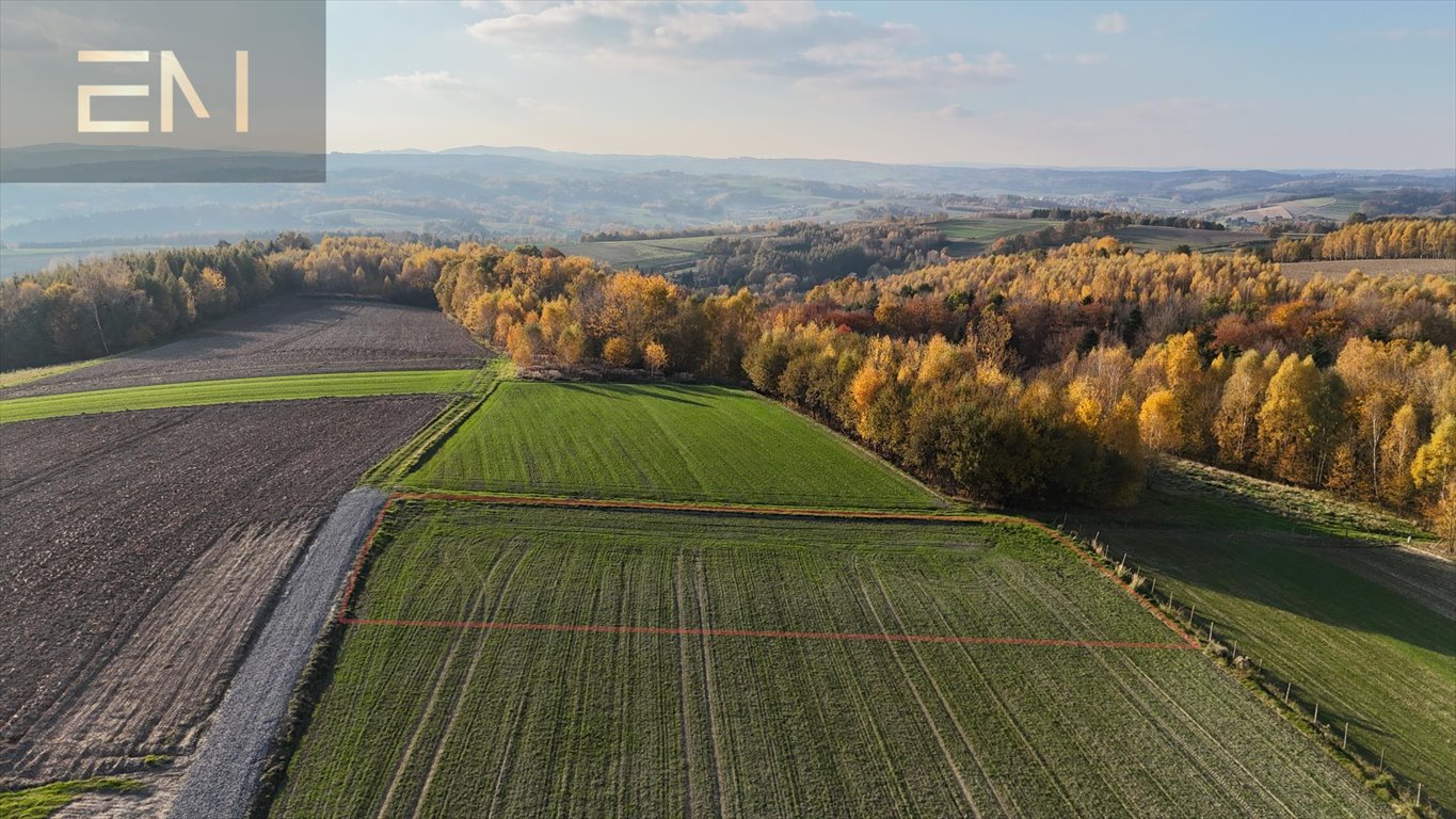 Działka budowlana na sprzedaż Tropie  1 391m2 Foto 2