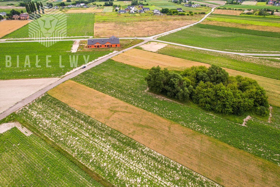 Działka przemysłowo-handlowa na sprzedaż Łady, Grudzi  4 157m2 Foto 5