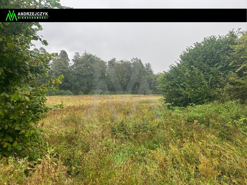 Polecam malowniczą działkę 22 000 m² z warunkami zabudowy w Krowowej Świecino, Wejherowska  22 000m2 Foto 1
