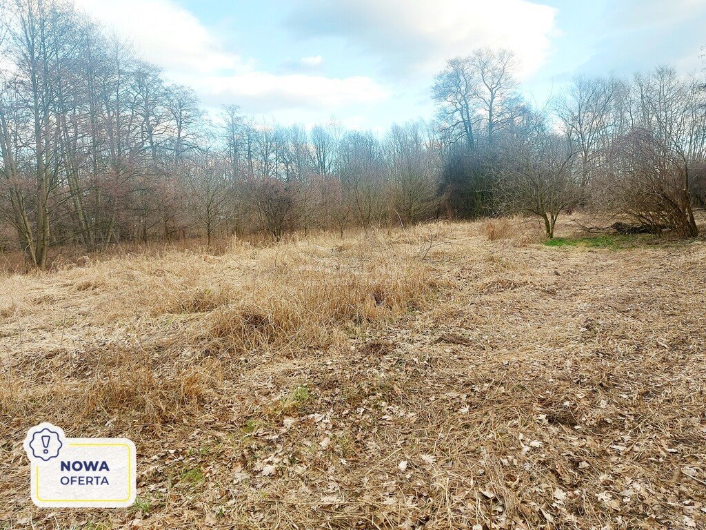 Działka budowlana na sprzedaż Milanówek  9 150m2 Foto 1