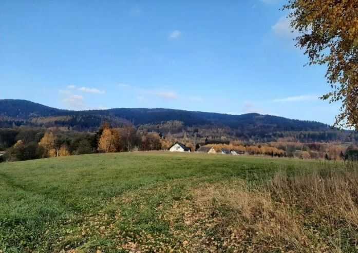 Działka inna na sprzedaż Nowa Ruda  10 000m2 Foto 3