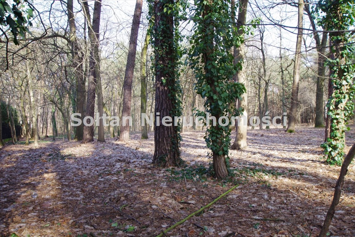 Działka budowlana na sprzedaż Borowina  14 000m2 Foto 2