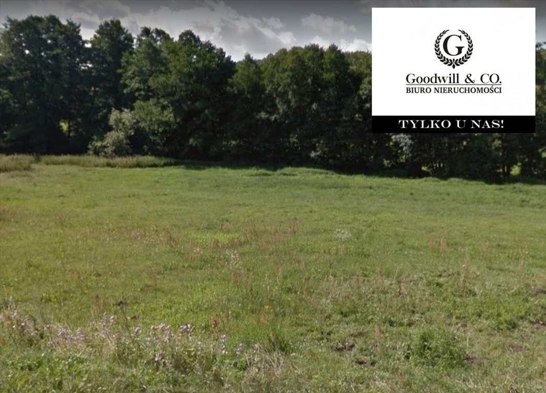 Działka budowlana na sprzedaż Czapielsk, Jarzębinowa 3 000m2 Foto 1 Działka budowlana na sprzedaż Czapielsk, Jarzębinowa 3 000m2 Foto 1