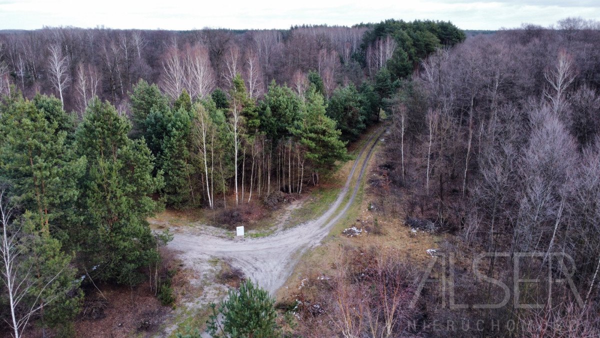 Działka budowlana na sprzedaż Ławki, Wrzosowa  1 000m2 Foto 4