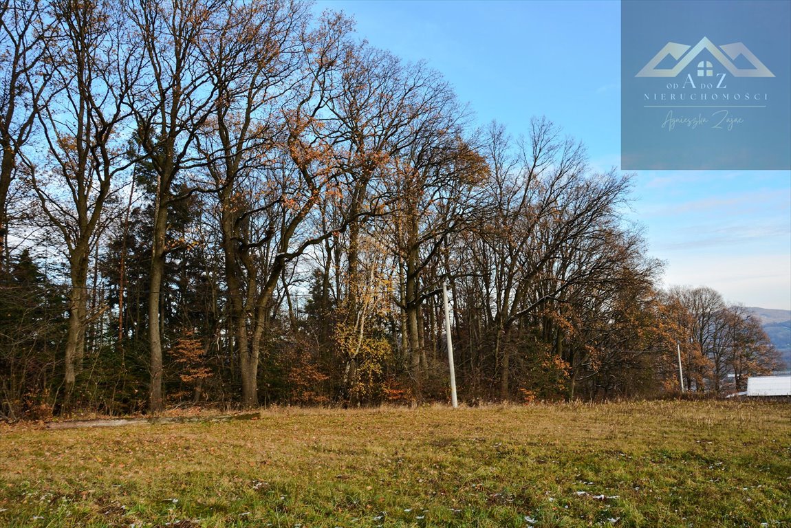 Działka leśna na sprzedaż Olszyny  6 200m2 Foto 1